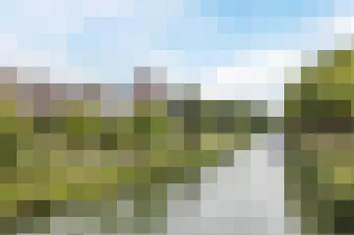 Moreelsepark 17 Utrecht thumbnail 42