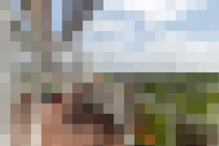 Moreelsepark 38 Utrecht thumbnail 36