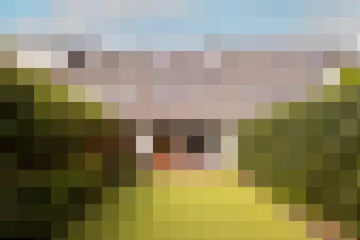 Moreelsestraat 52 Ede thumbnail 29