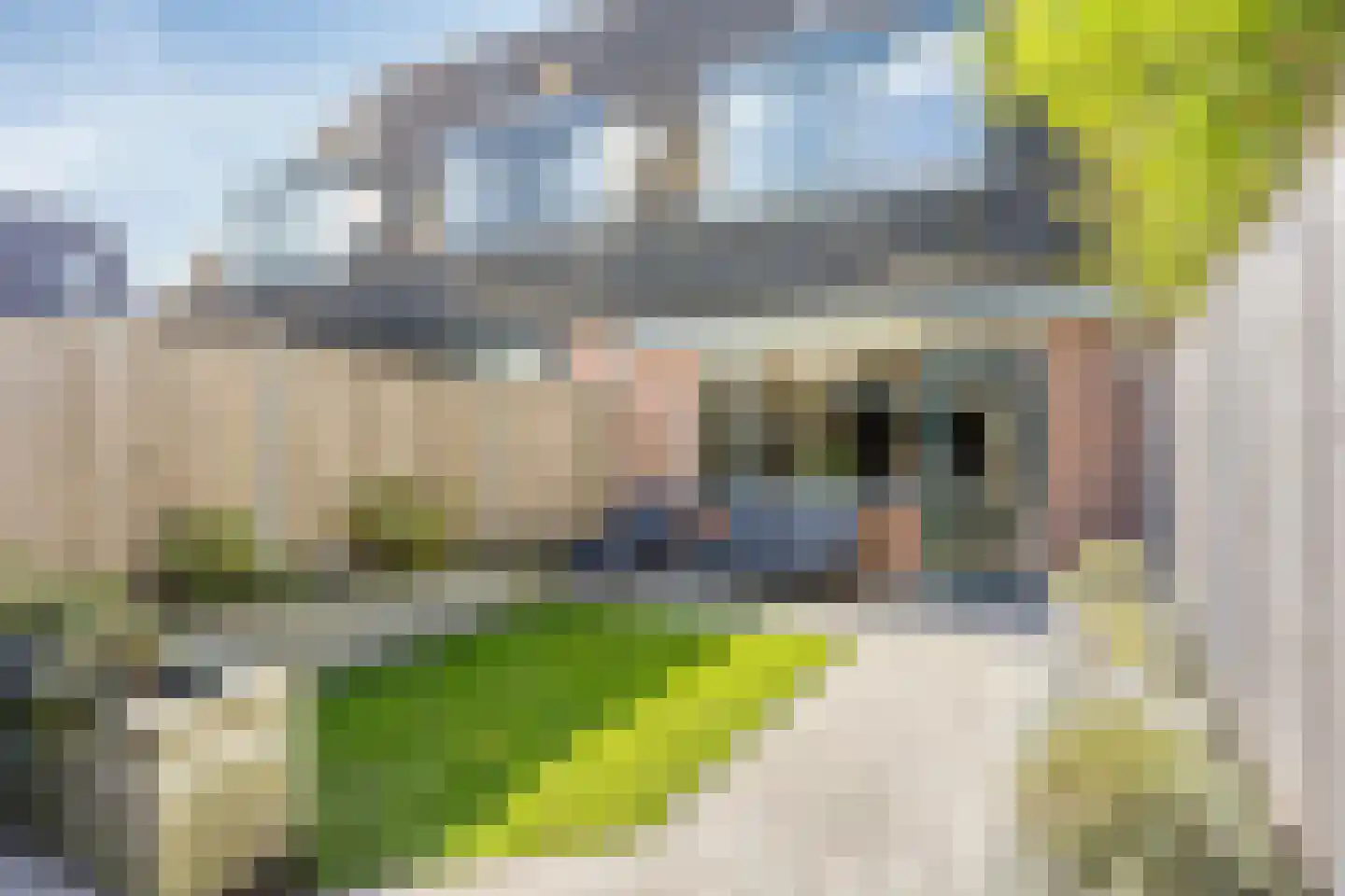Moreelsestraat 69 Ede thumbnail 26