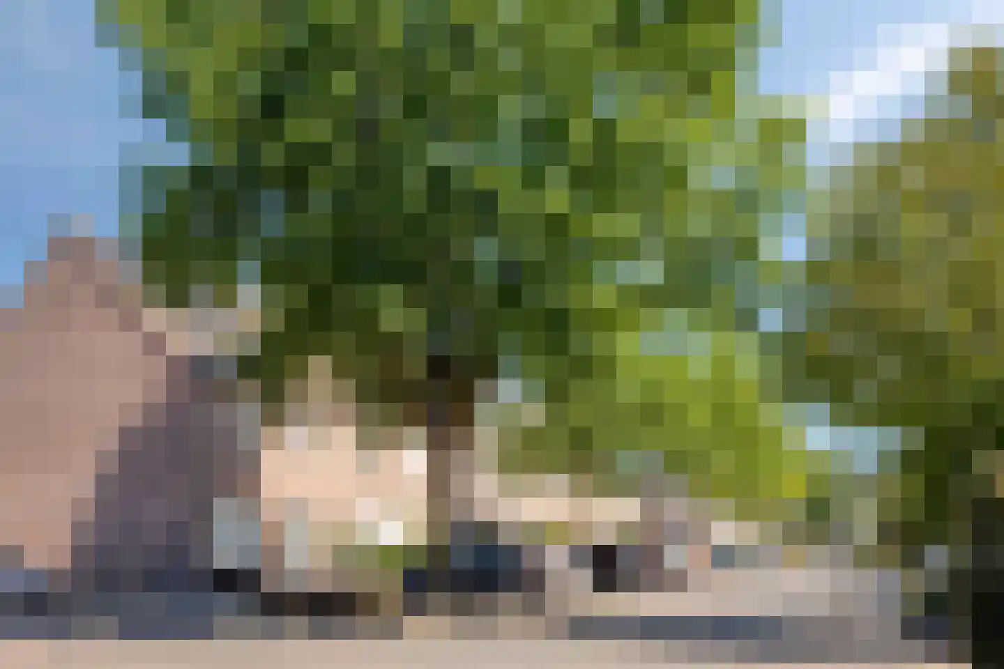Moreestraat 24 Amersfoort thumbnail 25
