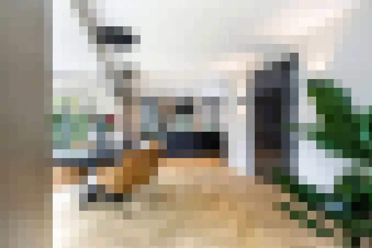 Morel 1 Hardinxveld-Giessendam thumbnail 21