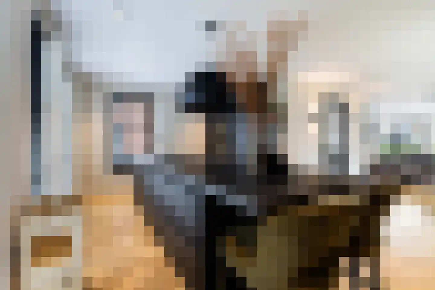 Morel 1 Hardinxveld-Giessendam thumbnail 25