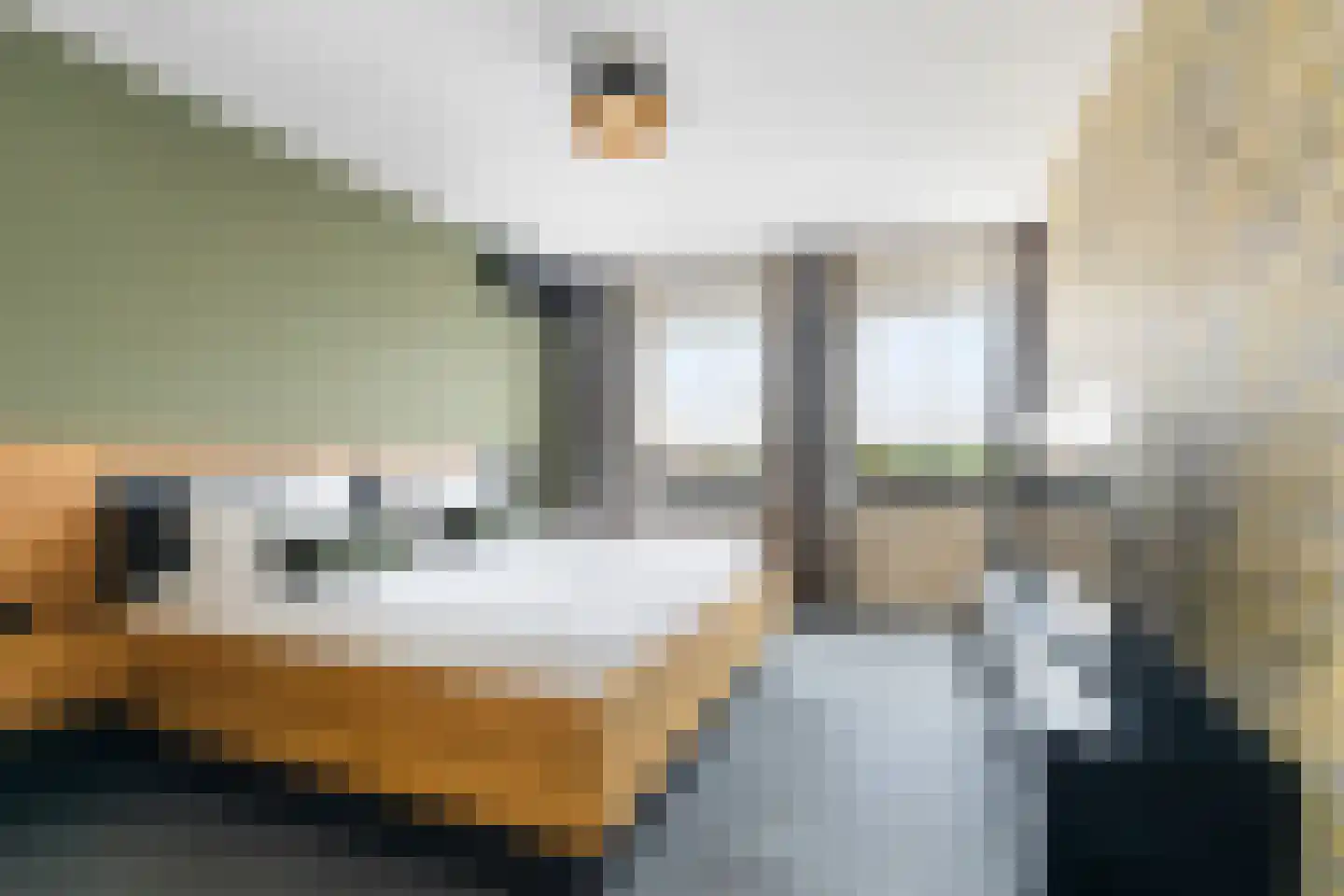Morel 1 Hardinxveld-Giessendam thumbnail 34