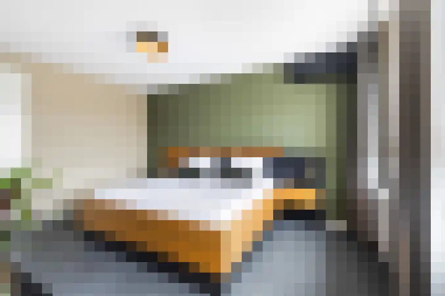 Morel 1 Hardinxveld-Giessendam thumbnail 36