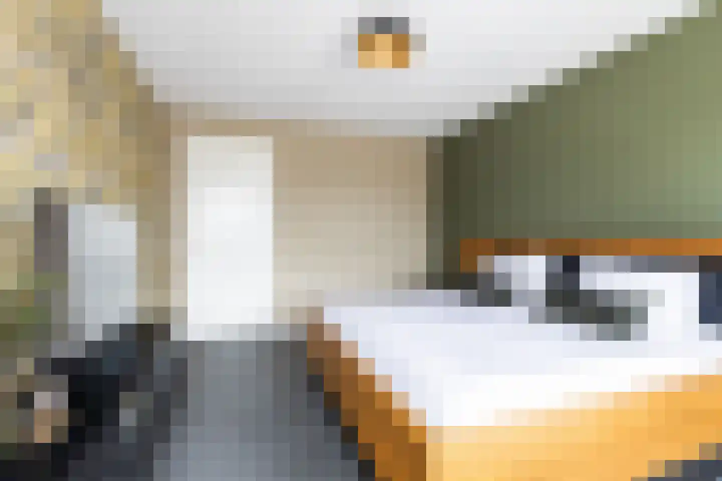Morel 1 Hardinxveld-Giessendam thumbnail 37