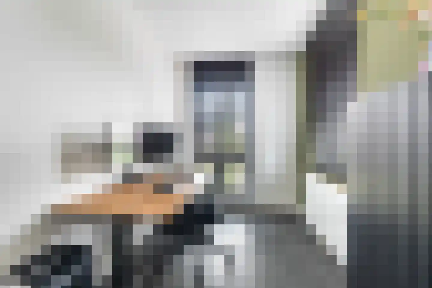 Morel 1 Hardinxveld-Giessendam thumbnail 41