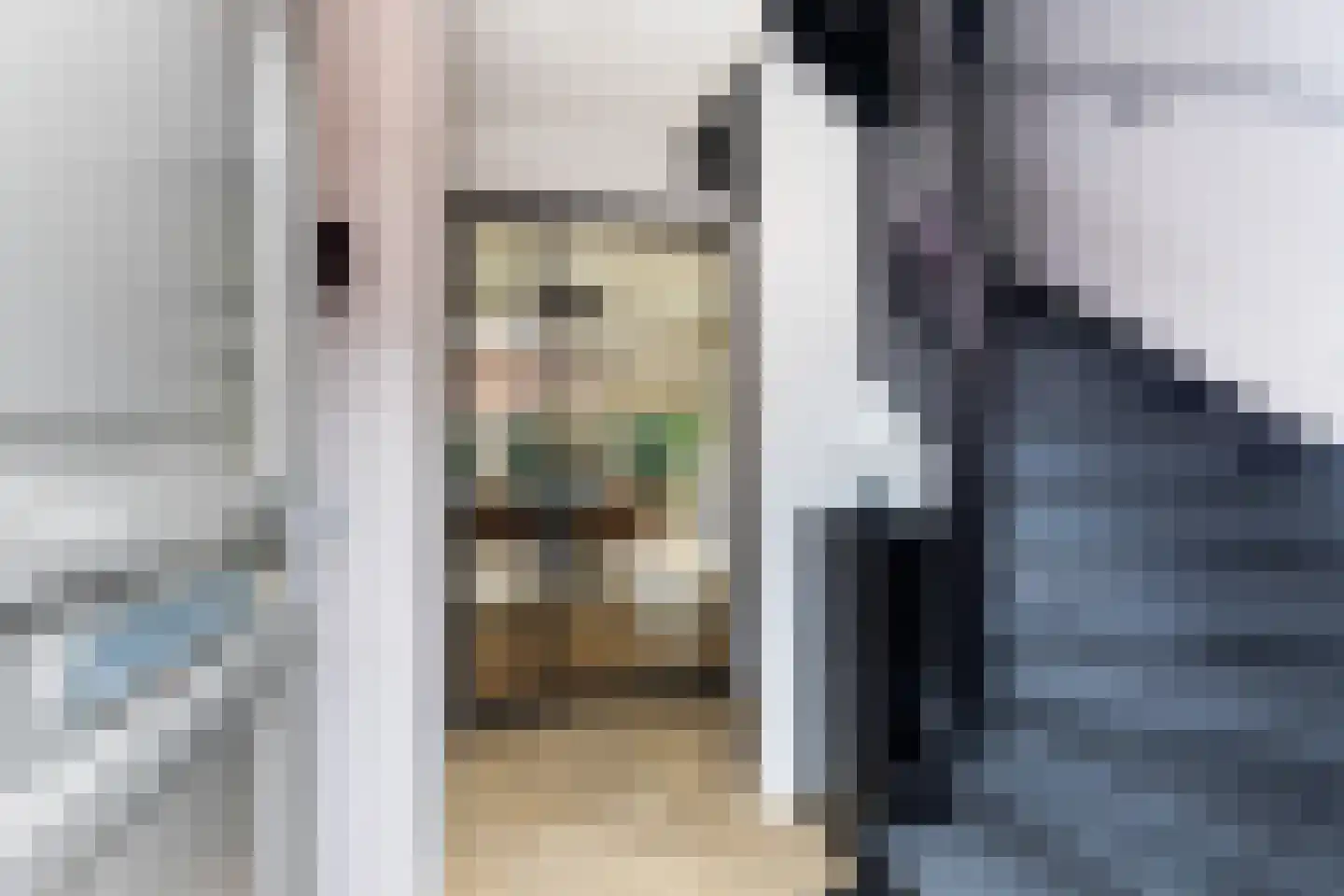 Morel 1 Hardinxveld-Giessendam thumbnail 5