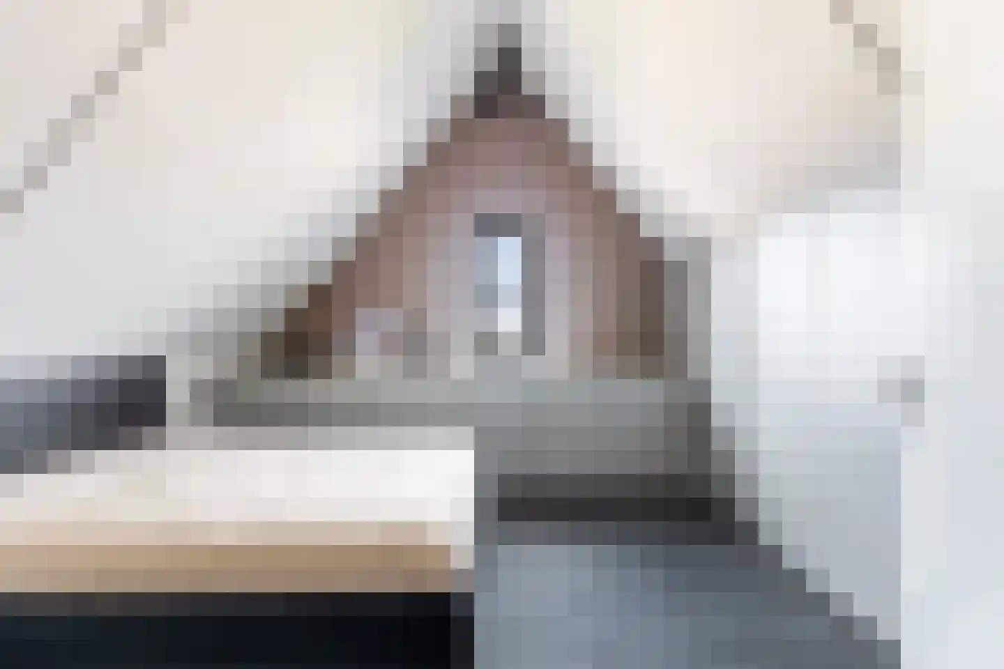 Morel 1 Hardinxveld-Giessendam thumbnail 50