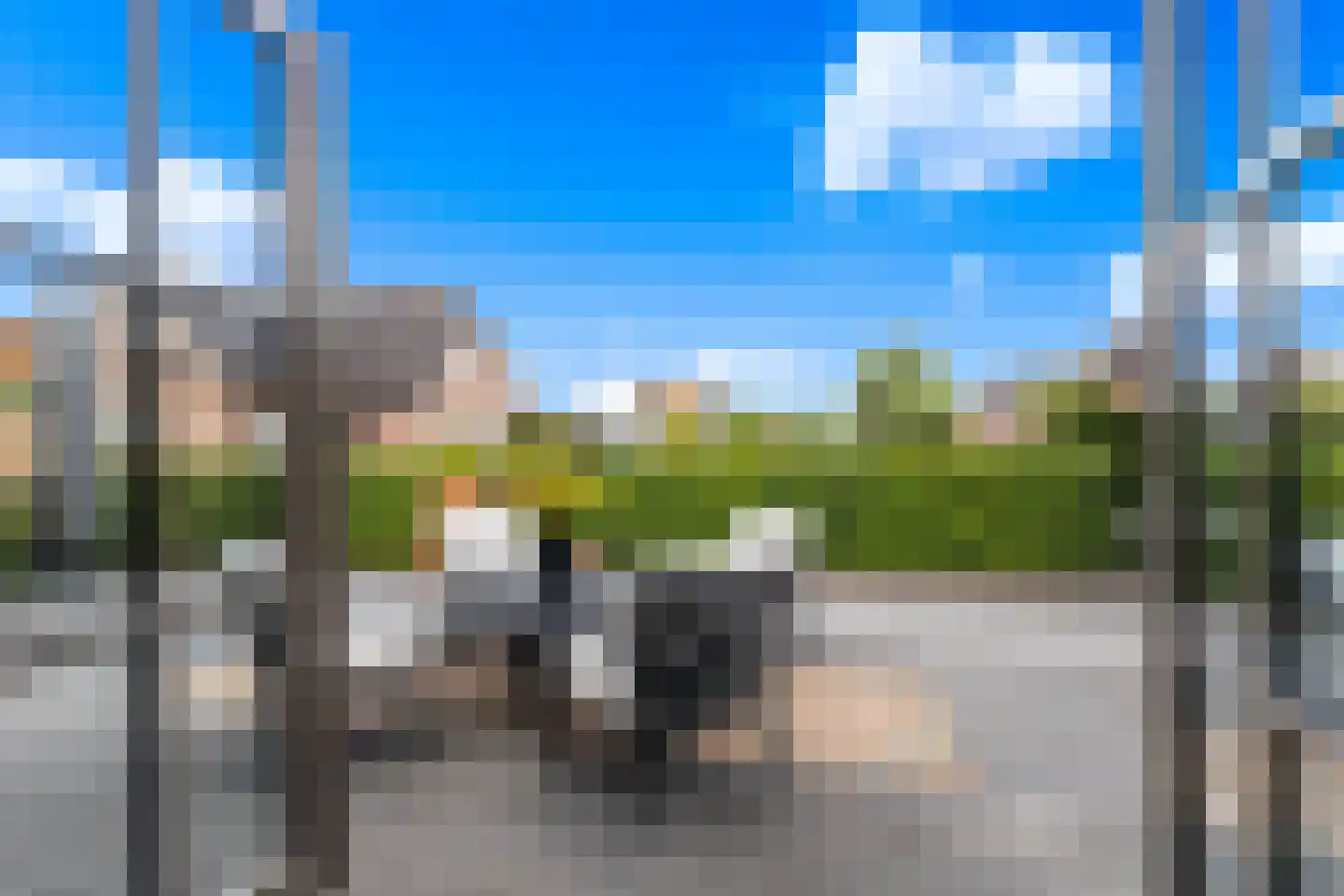 Morel 1 Hardinxveld-Giessendam thumbnail 54
