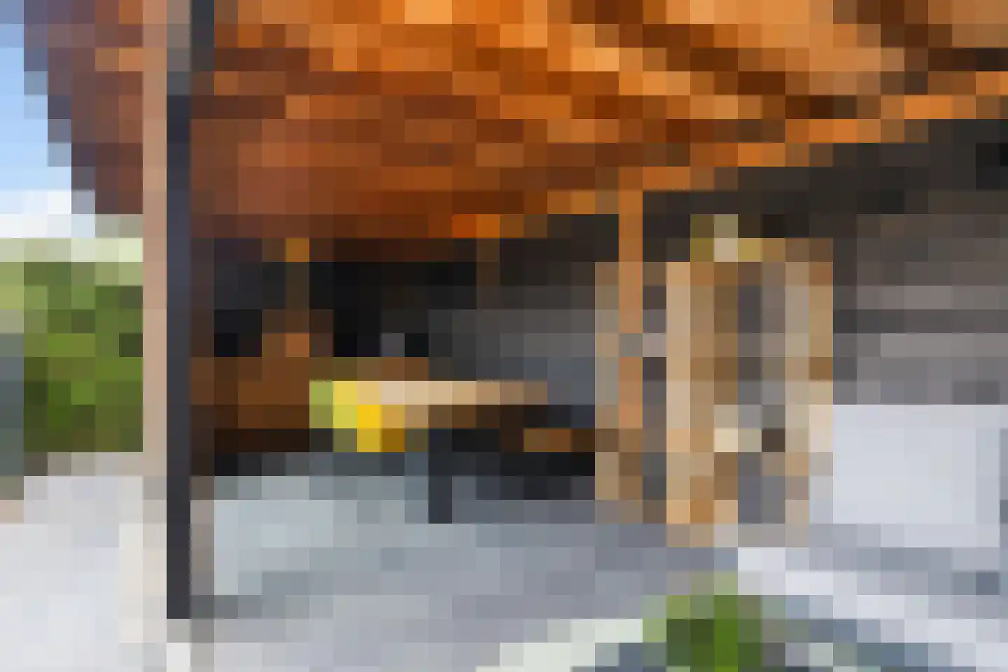 Morel 1 Hardinxveld-Giessendam thumbnail 58