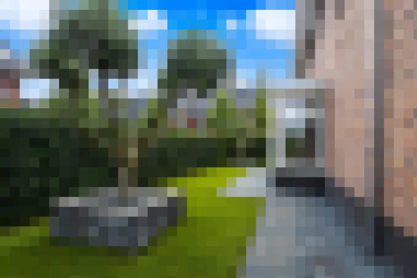 Morel 1 Hardinxveld-Giessendam thumbnail 63