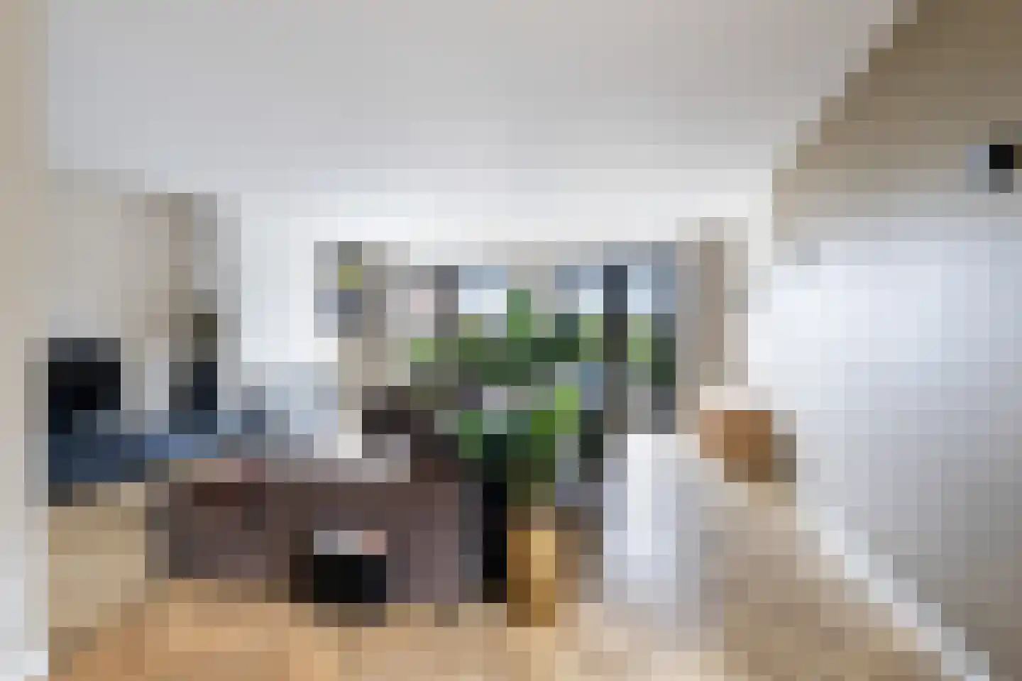 Morel 1 Hardinxveld-Giessendam thumbnail 9