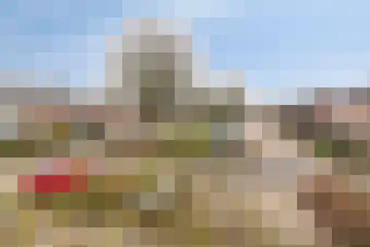Morel 167 Uden thumbnail 17