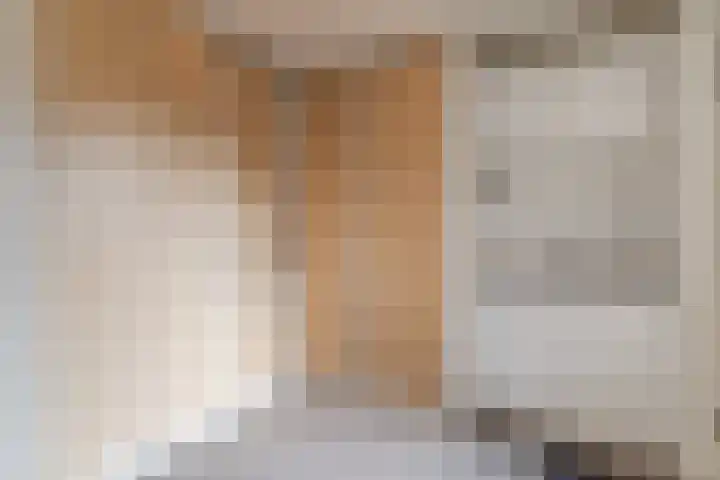 Morel 167 Uden thumbnail 23