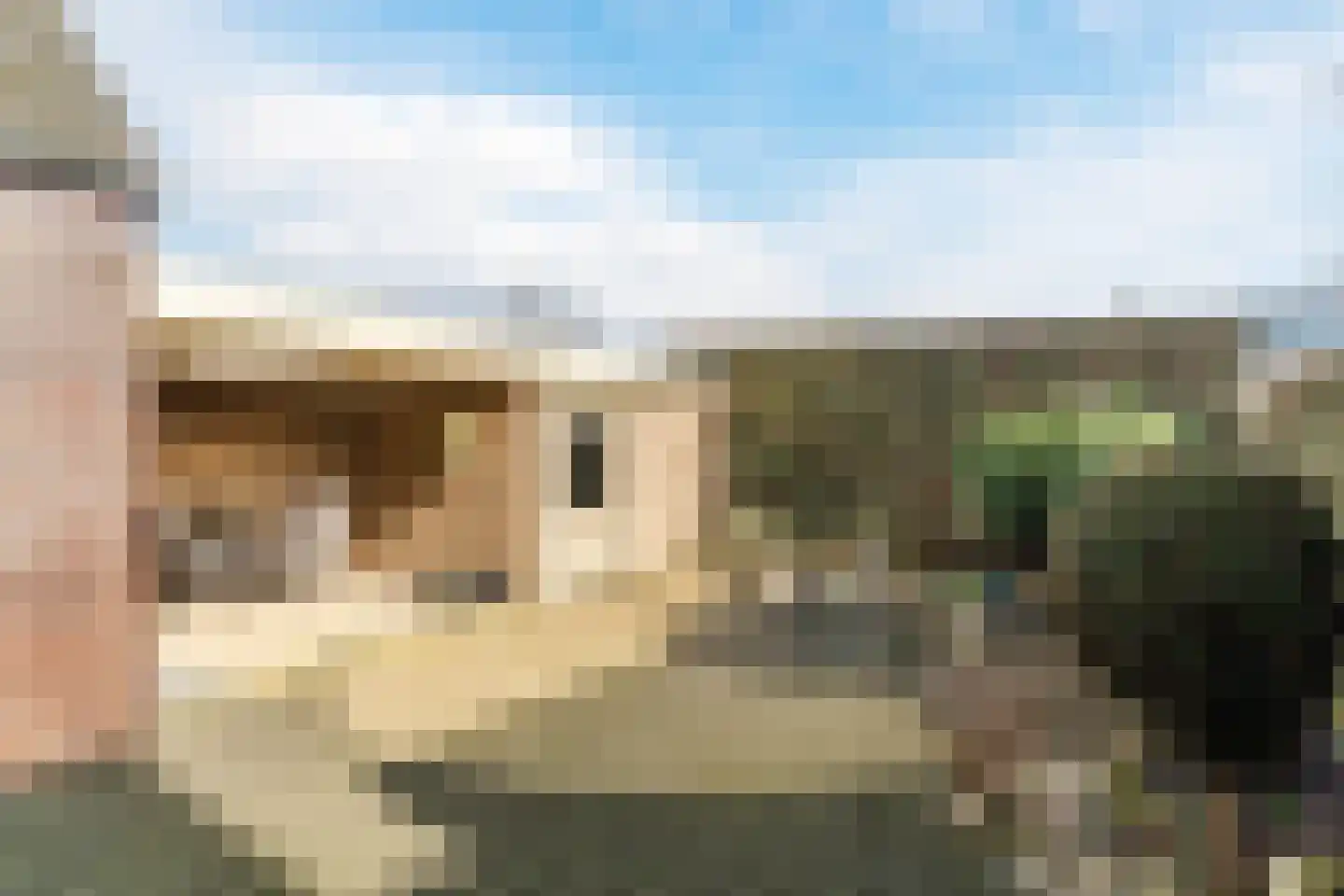 Morel 167 Uden thumbnail 27