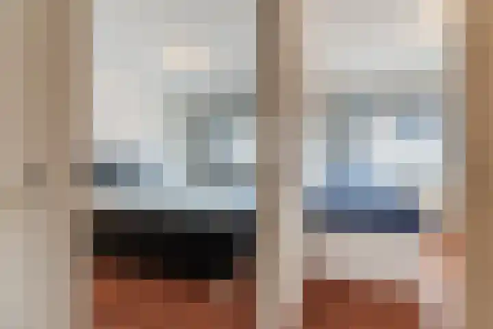 Morel 167 Uden thumbnail 33