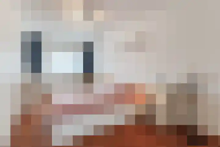 Morel 167 Uden thumbnail 38
