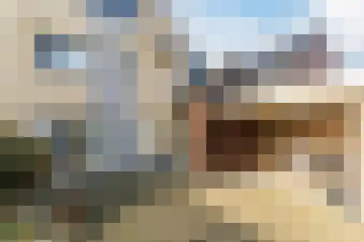 Morel 167 Uden thumbnail 4