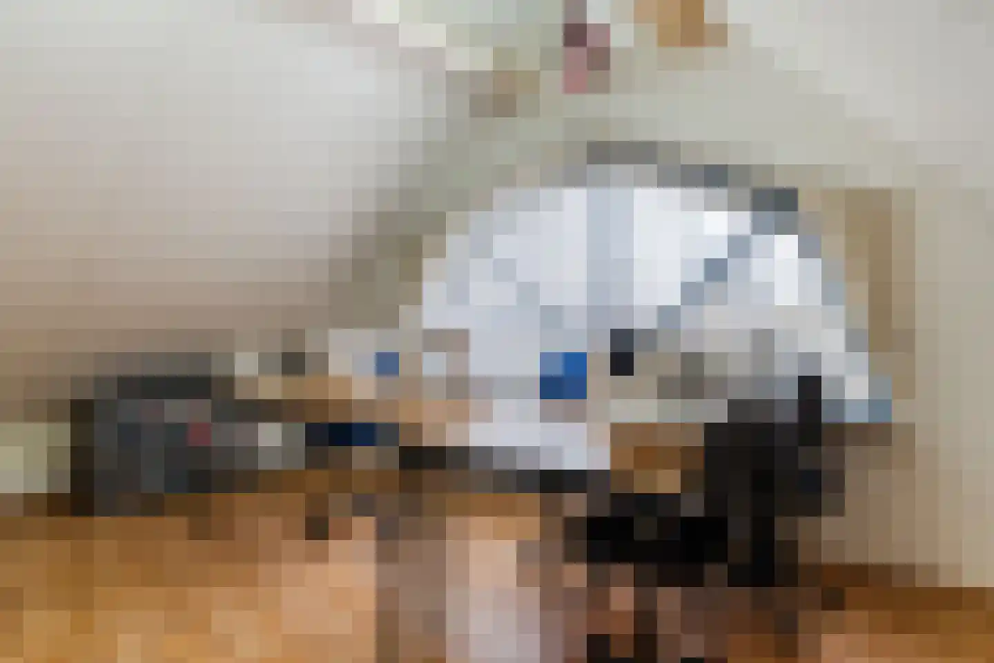 Morel 167 Uden thumbnail 48