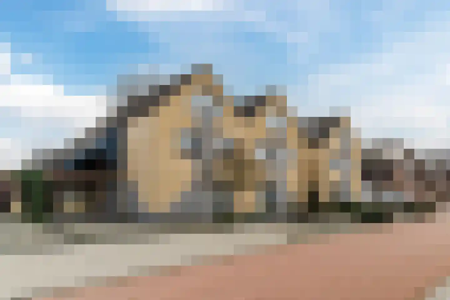 Morel 167 Uden thumbnail 5