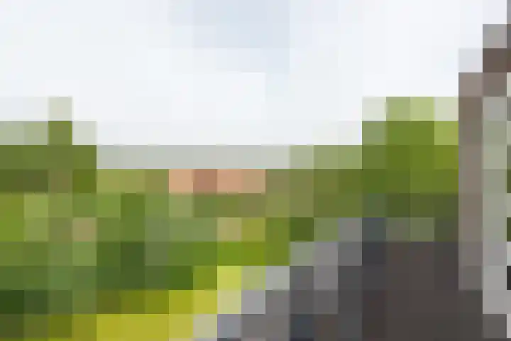 Morel 2 Wageningen thumbnail 24