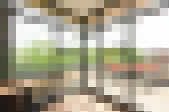 Morel 2 Wageningen thumbnail 27