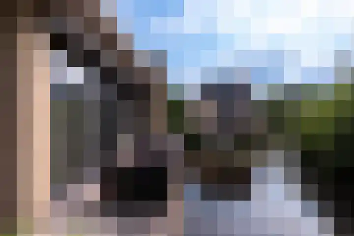 Morel 2 Wageningen thumbnail 34