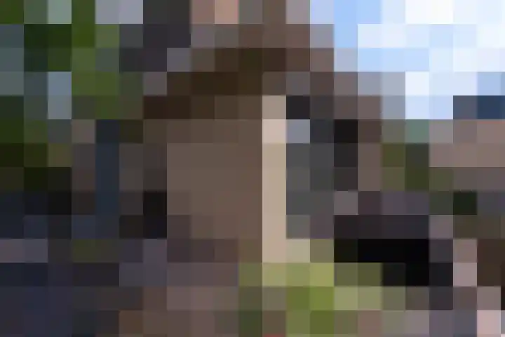 Morel 2 Wageningen thumbnail 35