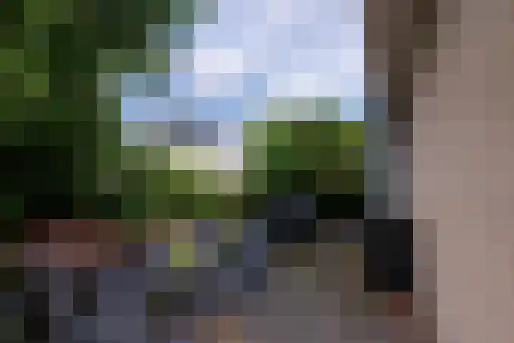 Morel 2 Wageningen thumbnail 36
