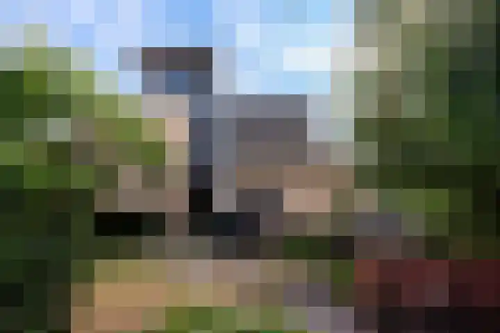 Morel 2 Wageningen thumbnail 37