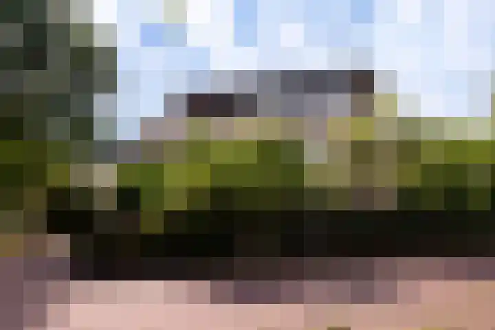 Morel 2 Wageningen thumbnail 38