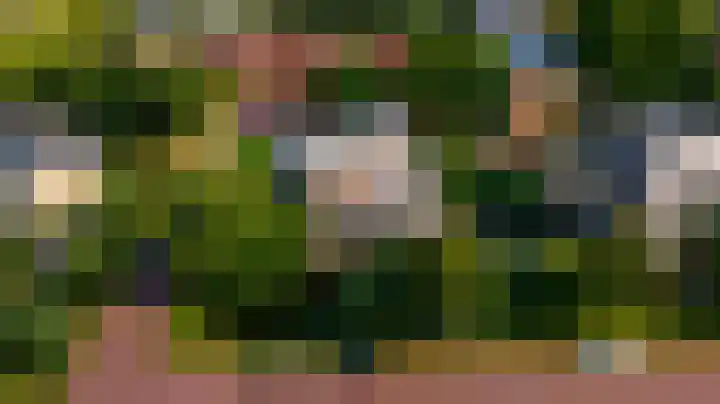 Morel 2 Wageningen thumbnail 39