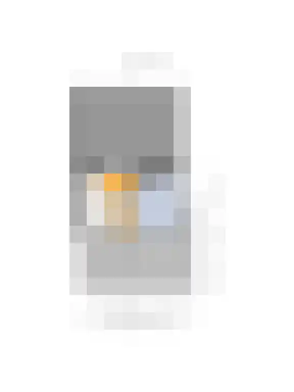 Morel 2 Wageningen thumbnail 42