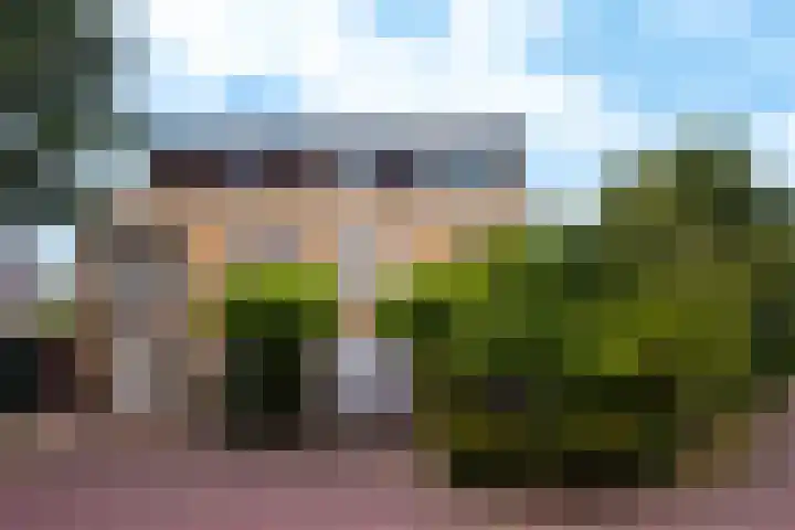 Morel 2 Wageningen thumbnail 43