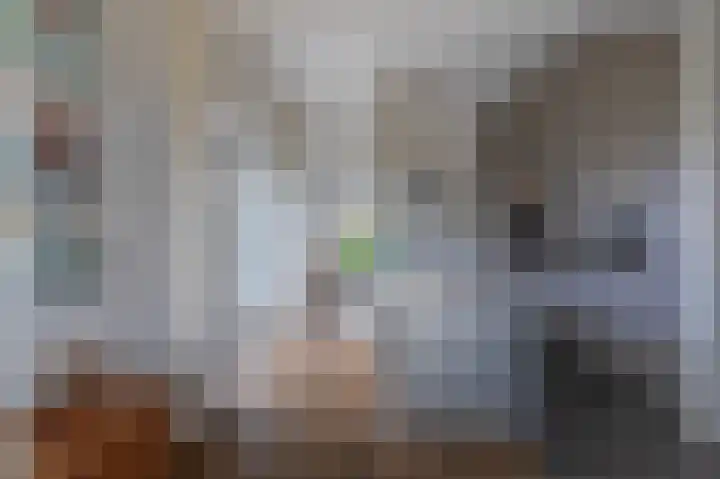 Morel 22 Elst thumbnail 10