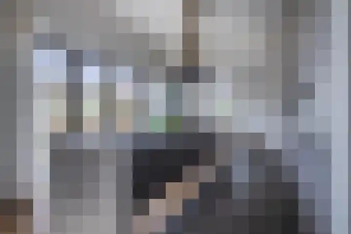 Morel 22 Elst thumbnail 11