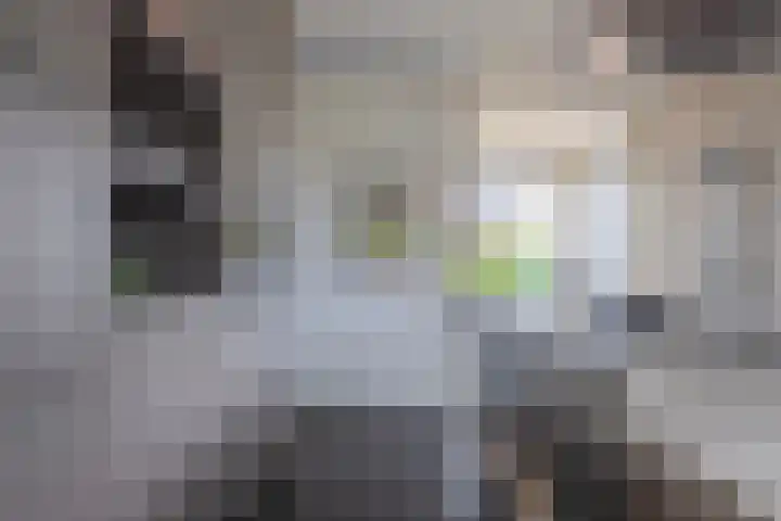 Morel 22 Elst thumbnail 13