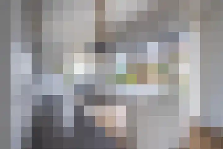 Morel 22 Elst thumbnail 14