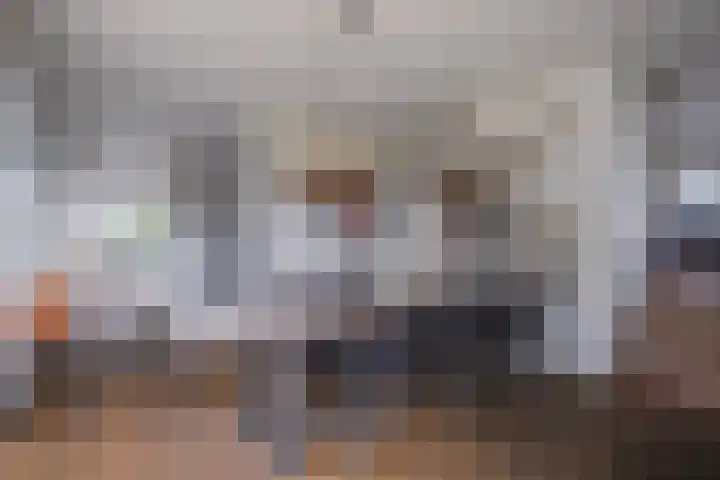 Morel 22 Elst thumbnail 15