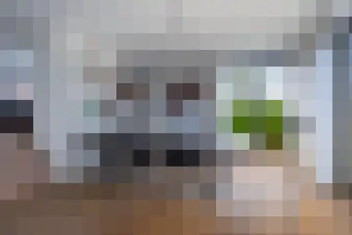 Morel 22 Elst thumbnail 16