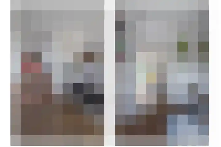 Morel 22 Elst thumbnail 19