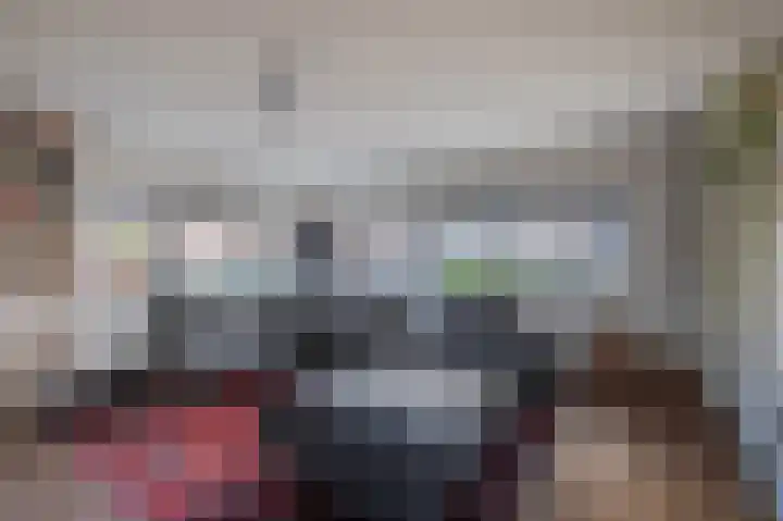Morel 22 Elst thumbnail 20