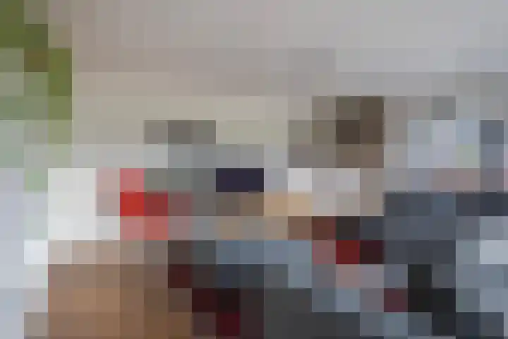 Morel 22 Elst thumbnail 22