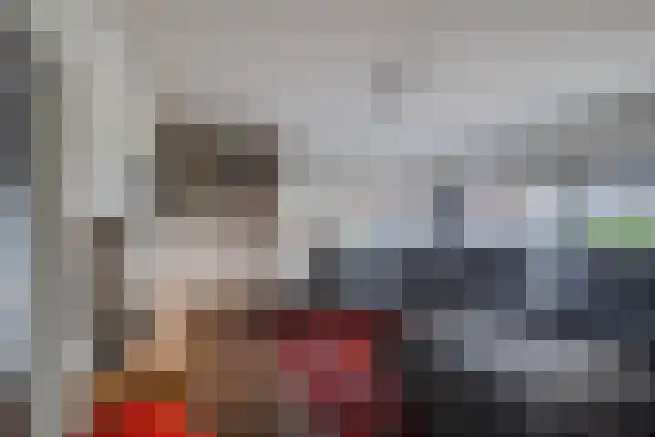 Morel 22 Elst thumbnail 23