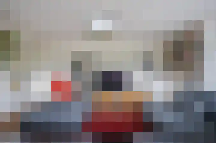 Morel 22 Elst thumbnail 24