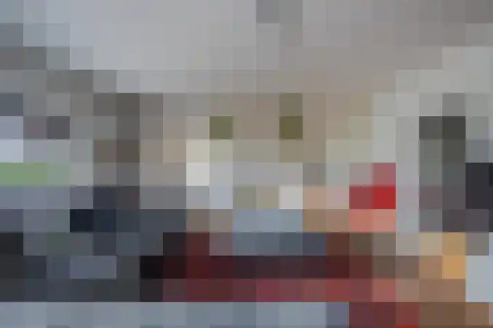 Morel 22 Elst thumbnail 25
