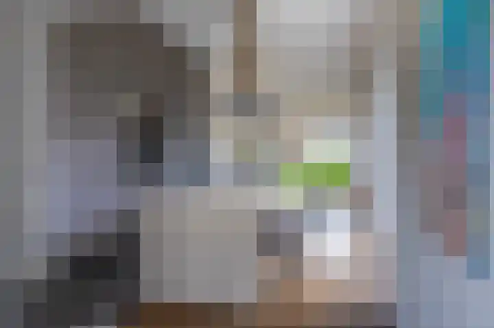 Morel 22 Elst thumbnail 27