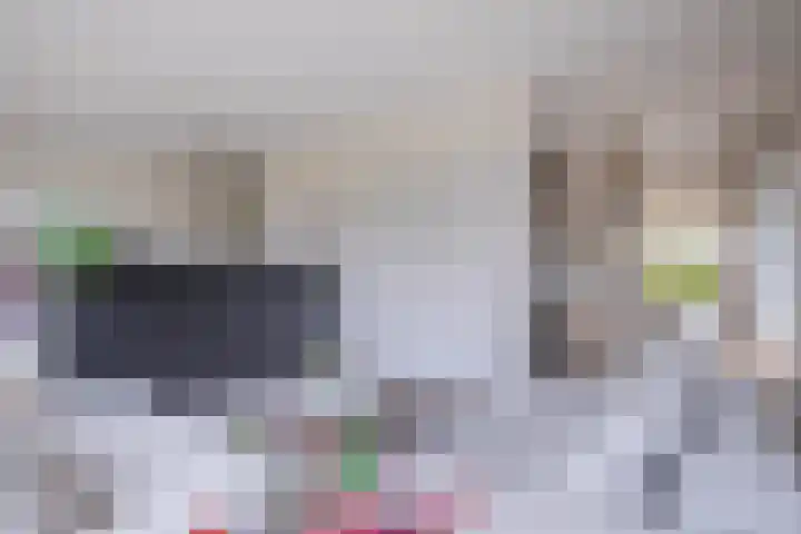 Morel 22 Elst thumbnail 28