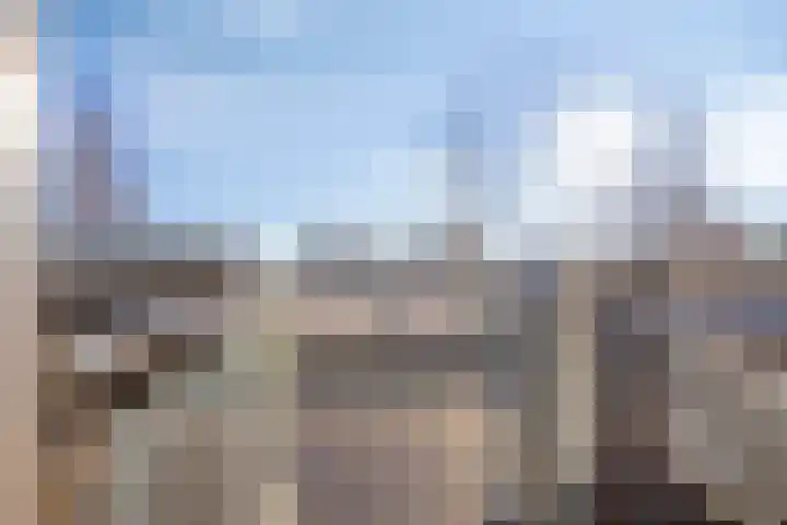 Morel 22 Elst thumbnail 35